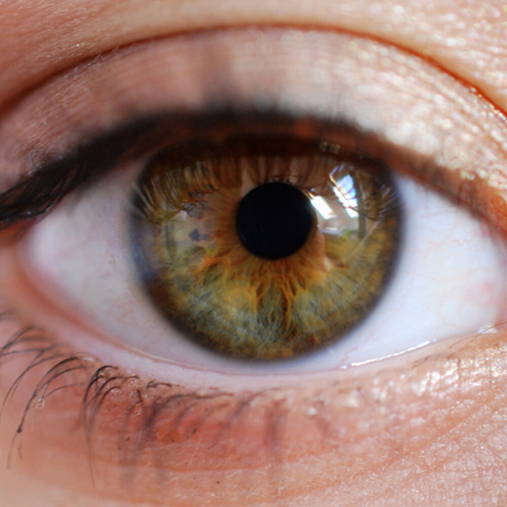 Светло серо карие глаза. Центральная гетерохромия зеленый Карий. Центральная гетерохромия глаз Карий и зеленый. Hazel Green цвет глаз. Зелено карие глаза гетерохромия.