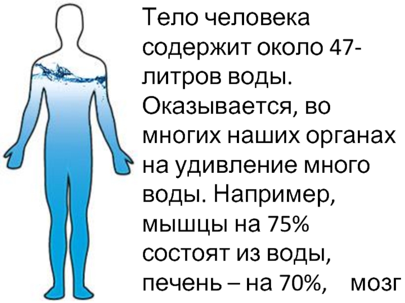 Процент воды в огурце